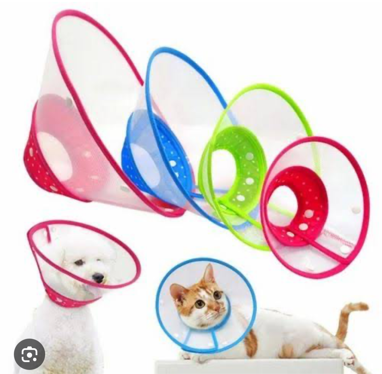 E-coller for pets