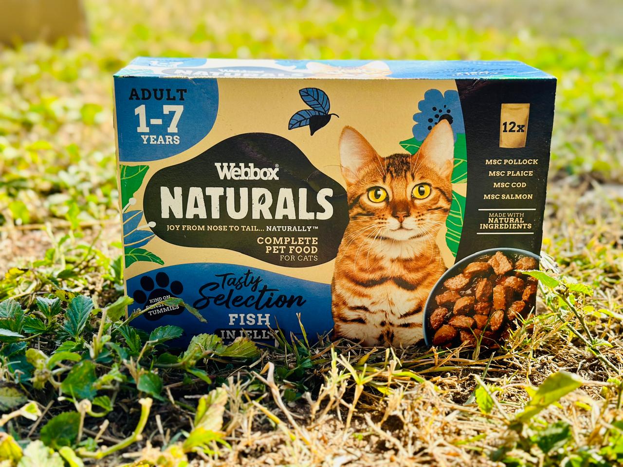 Webbox Naturals in gravy 100gram