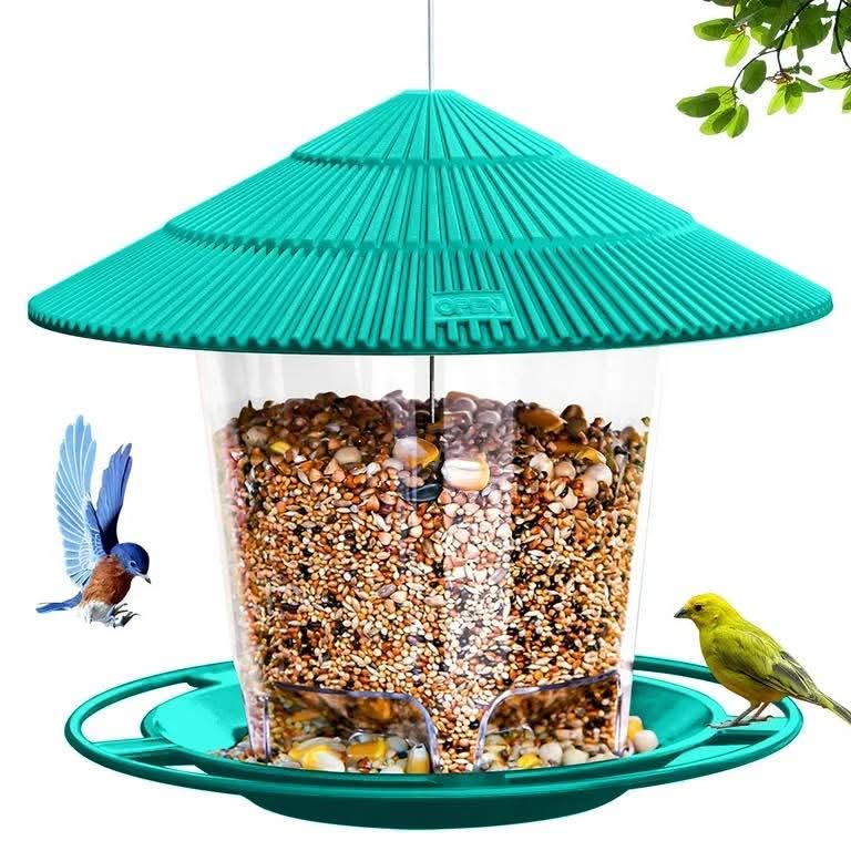 Birds hanging feeder