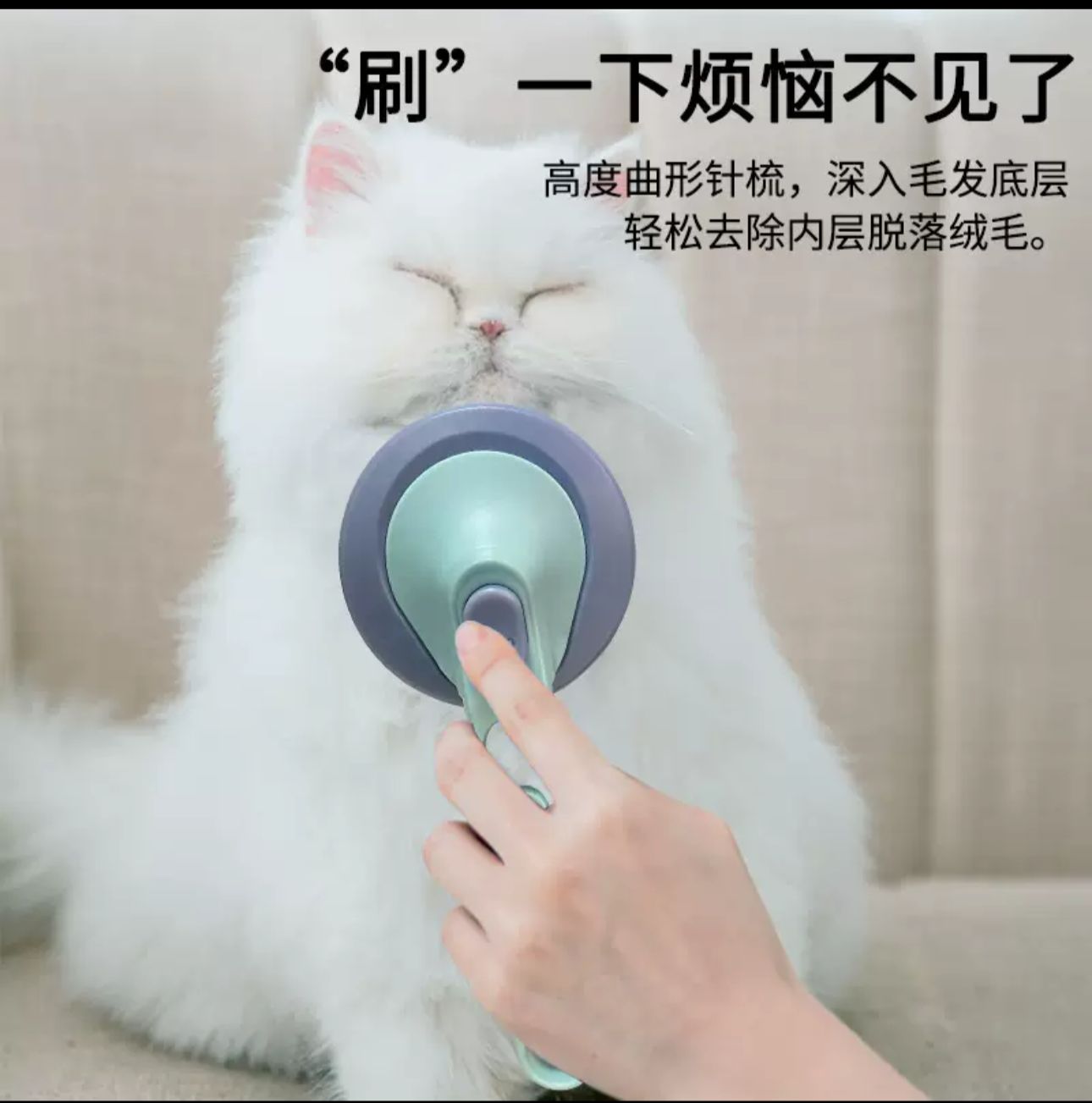 Imported cat brush