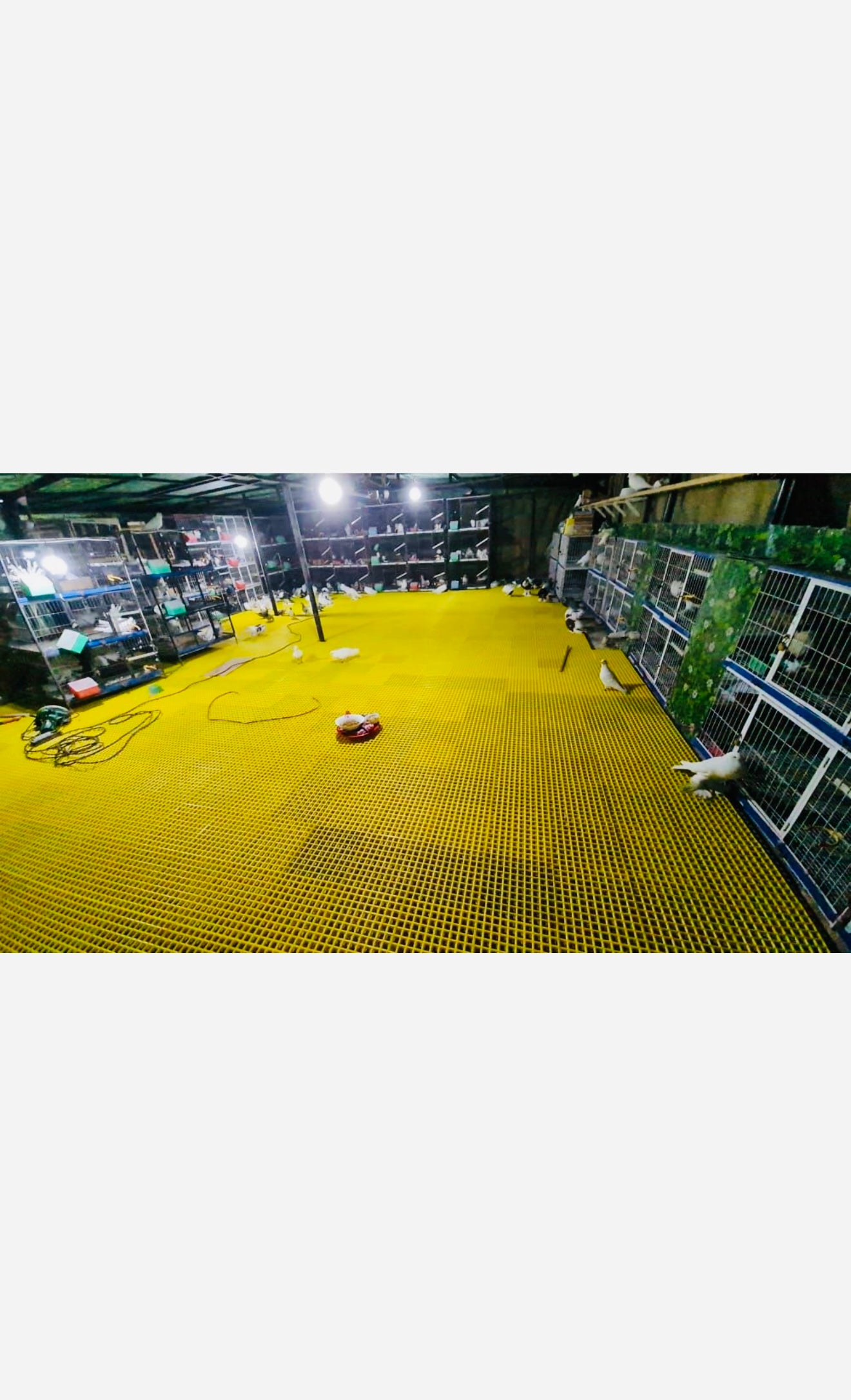pets floor mat floor garting maximum 200kg wait size 1foot by 1foot