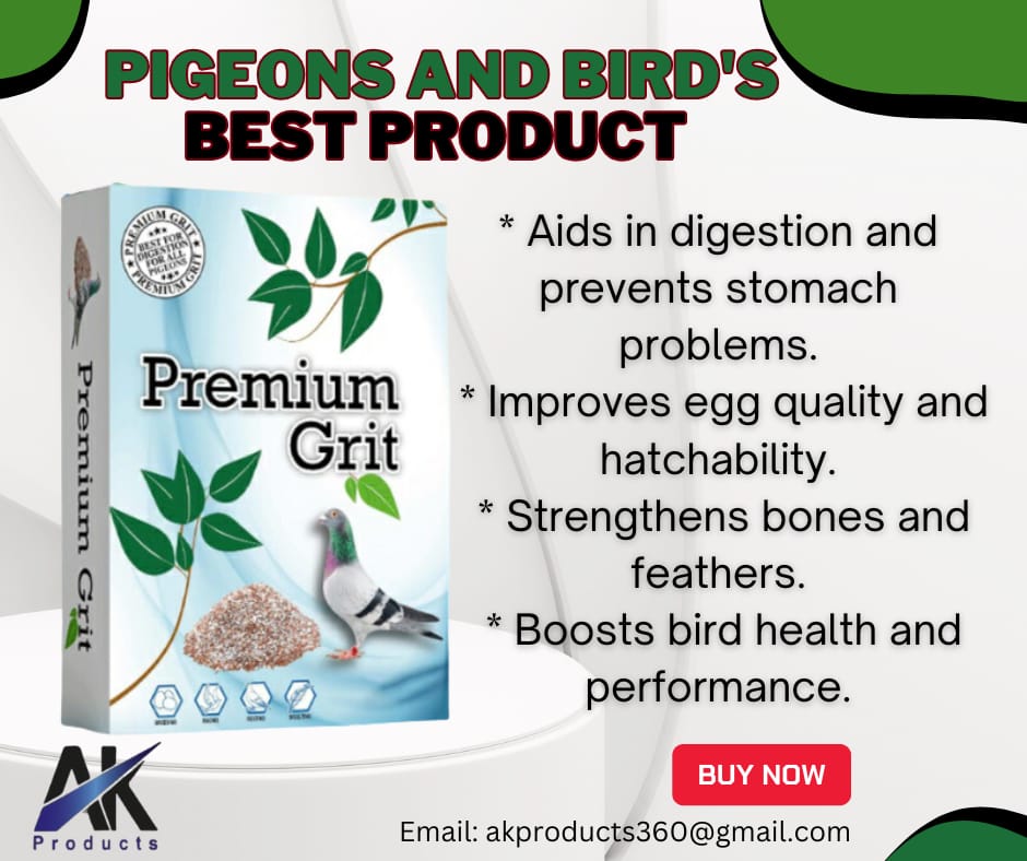 Premium grit pigeon birds supplement