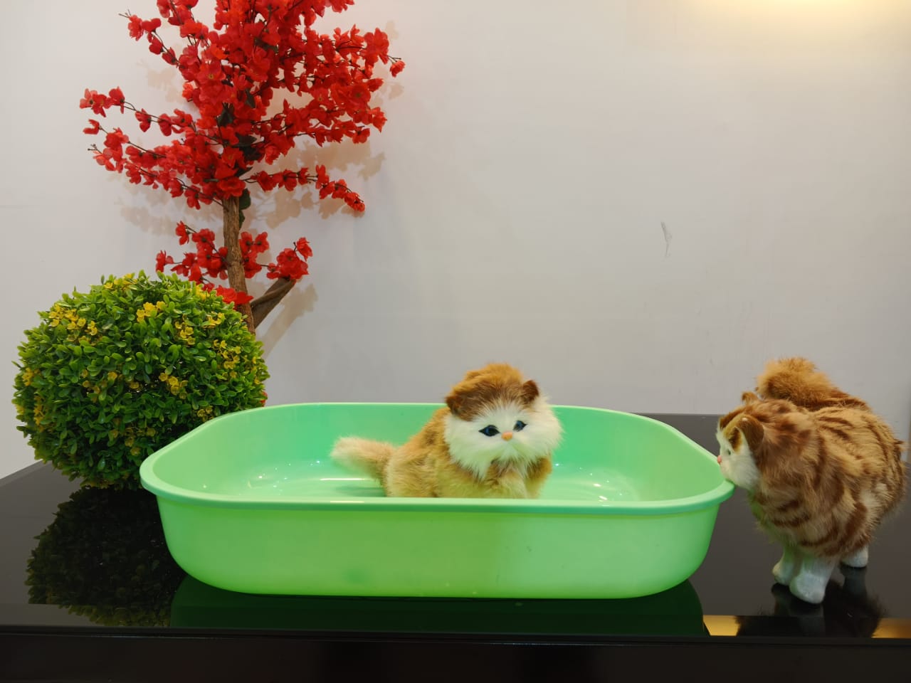 Imported litter tray large
