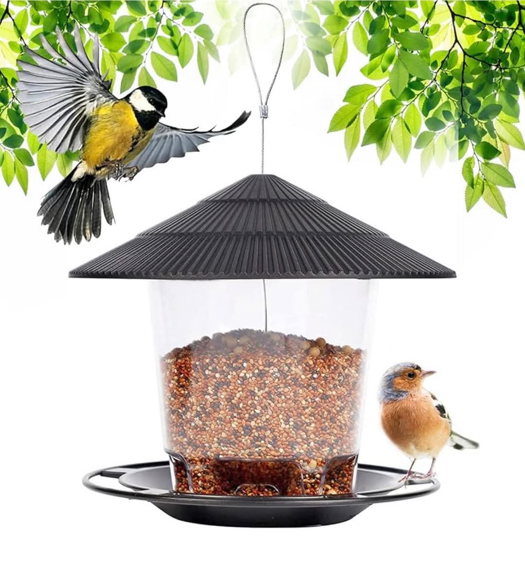 Birds hanging feeder