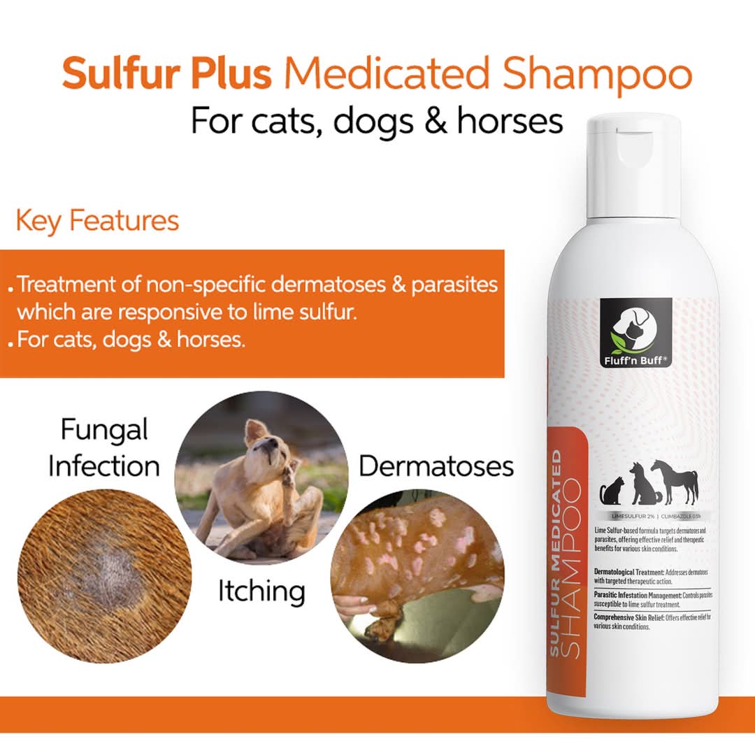 Remu-Ecotiik Medicated Dog& Cat shampoo 120ml