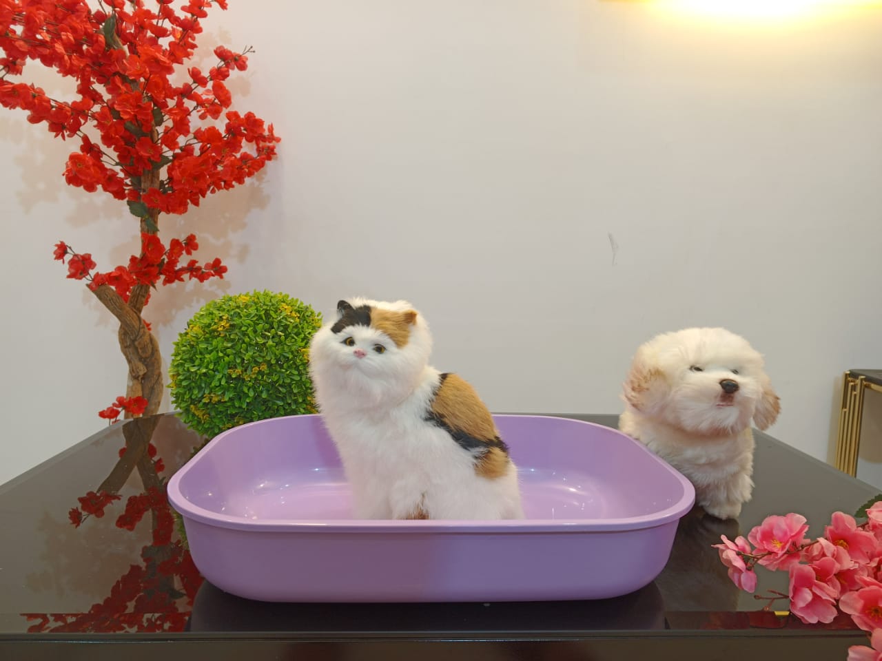 Imported litter tray large