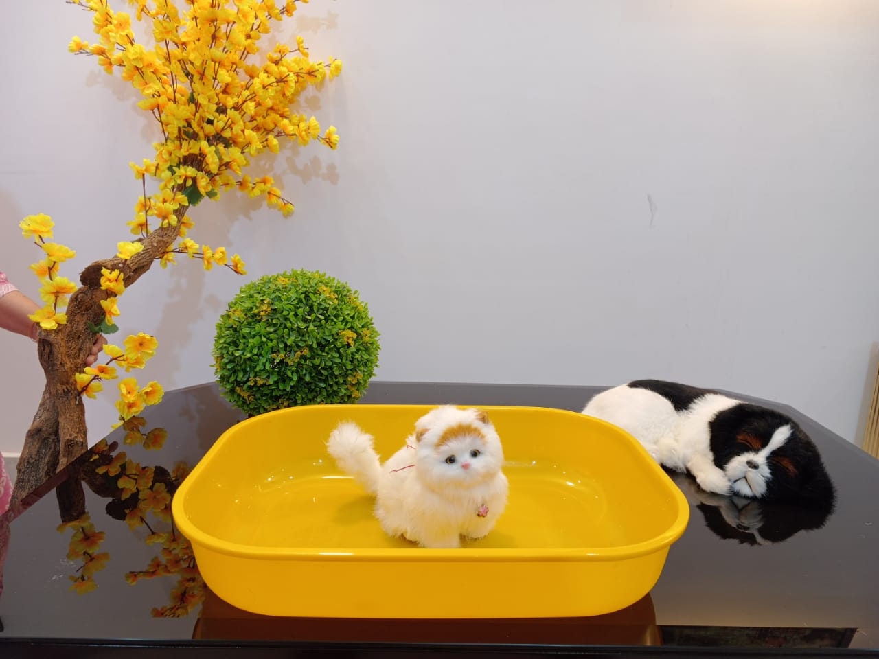 Imported litter tray large