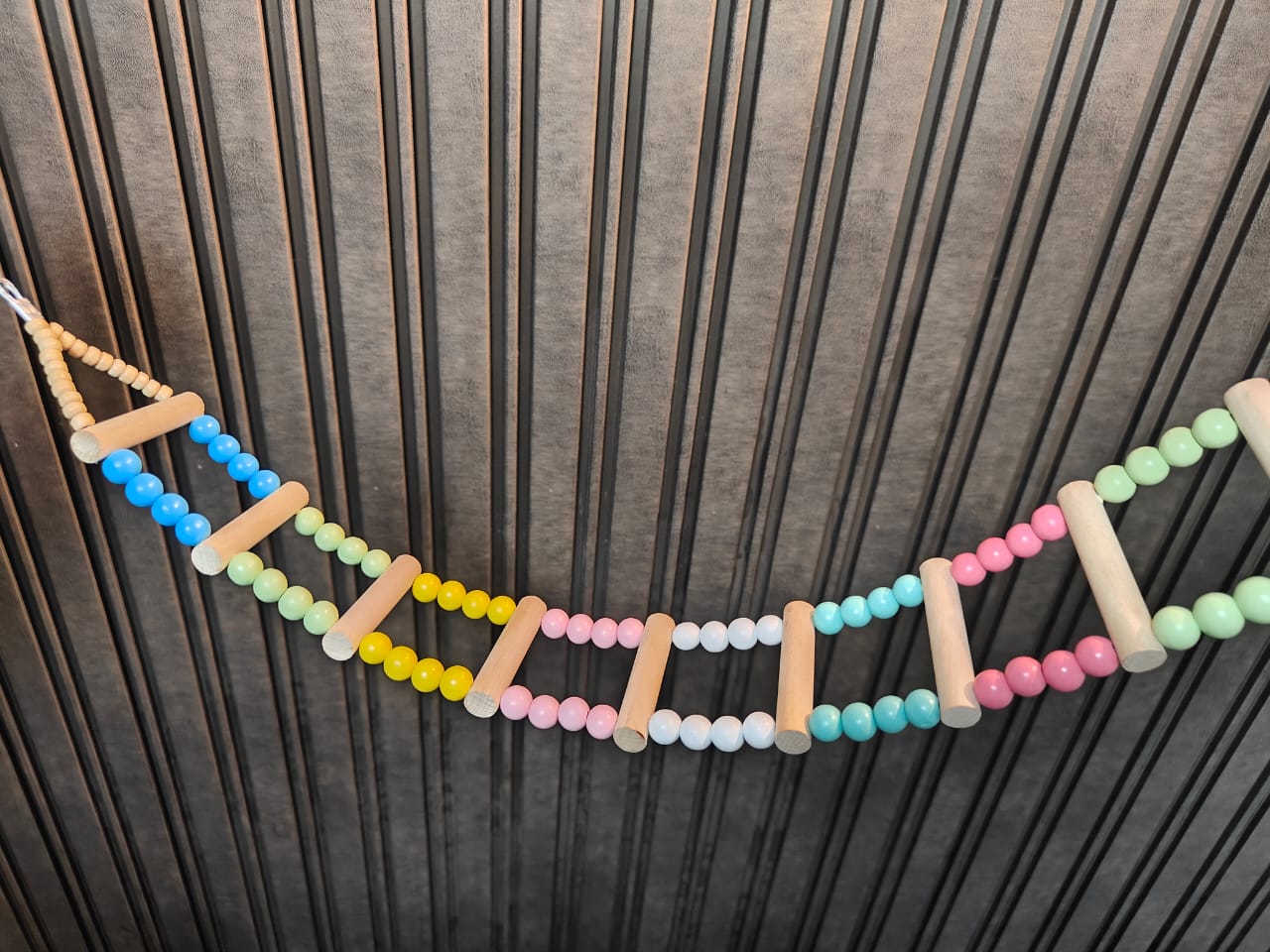 Bird Ladder toy
