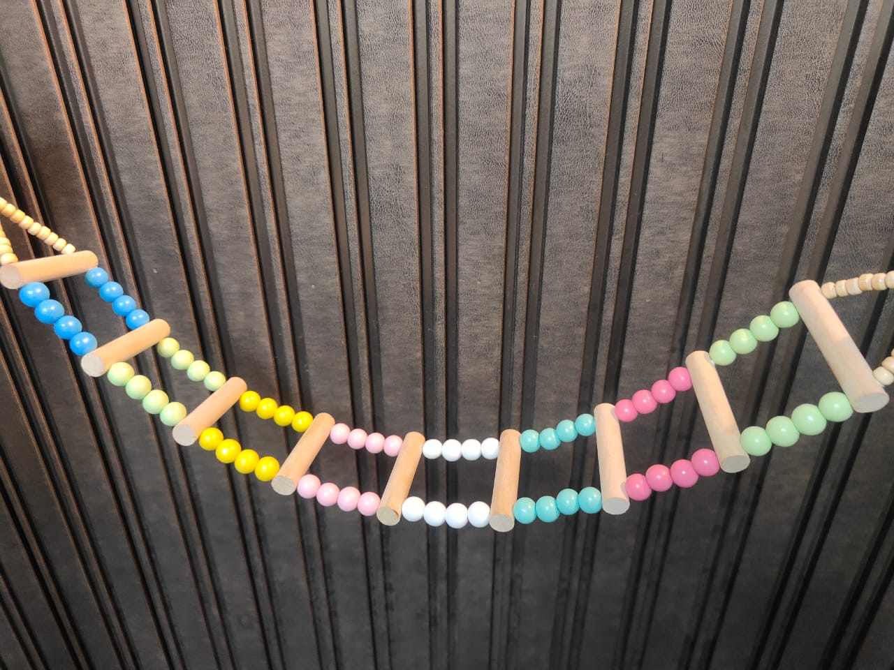 Bird Ladder toy
