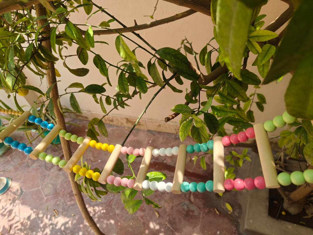 Bird Ladder toy