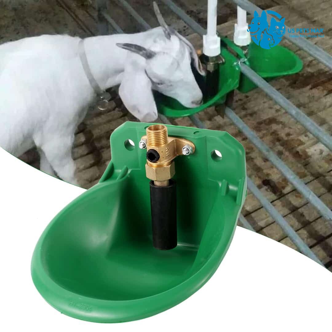 goat auto drinker 1-L Automatic water bowl
